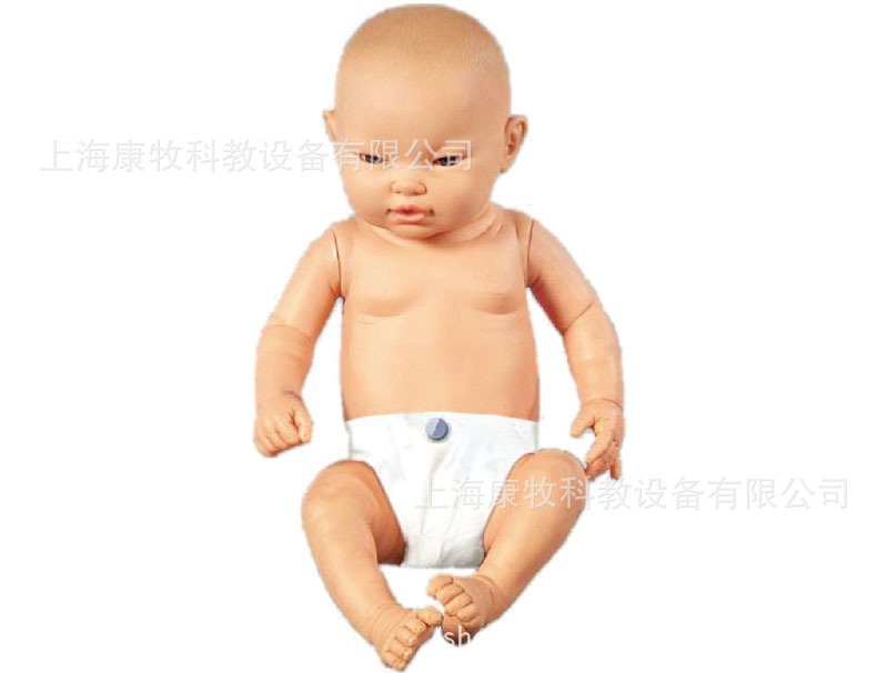 高级智能婴儿模型