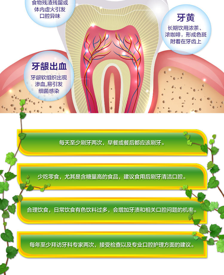 清焱护龈110_10