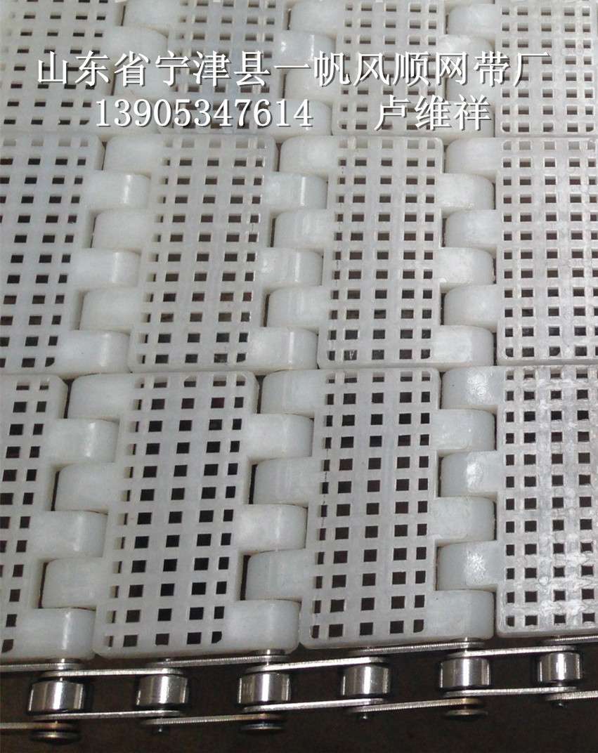 除渣机洗碗机网带-20