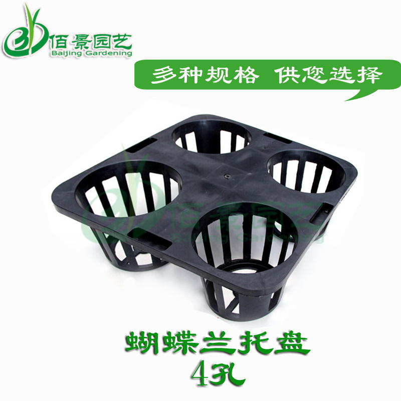 The flower field gardening Moth orchid Tray flowers and plants Sapling Tray 4/5/6/9/12/15/48 Rotary table around hole