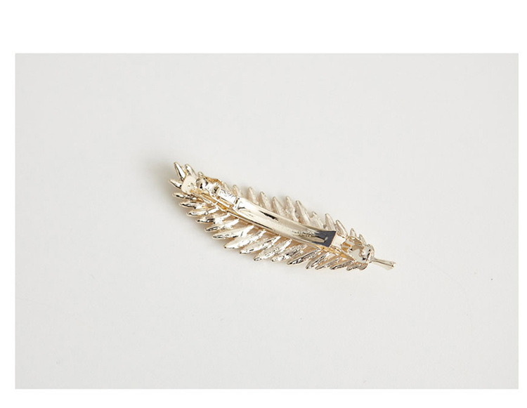 Vintage Feather Leaf Leaf Coniferous Edge Clip Spring Clip display picture 3