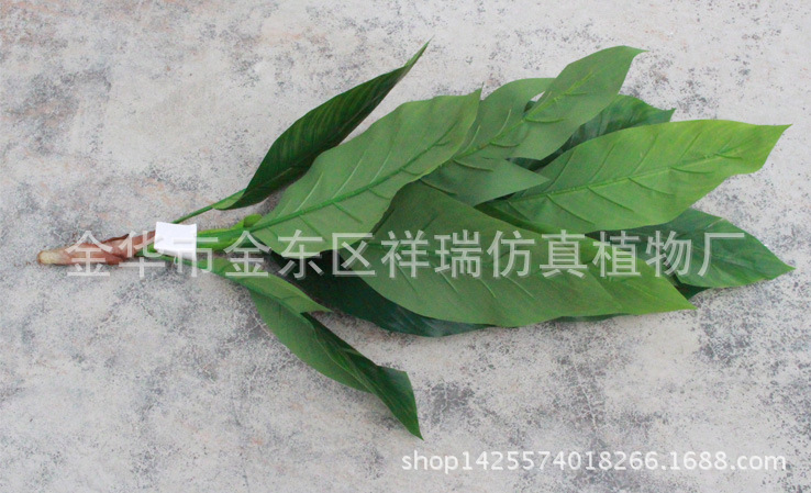 XRS-099盆栽蝎尾蕉叶树12叶110厘米枝