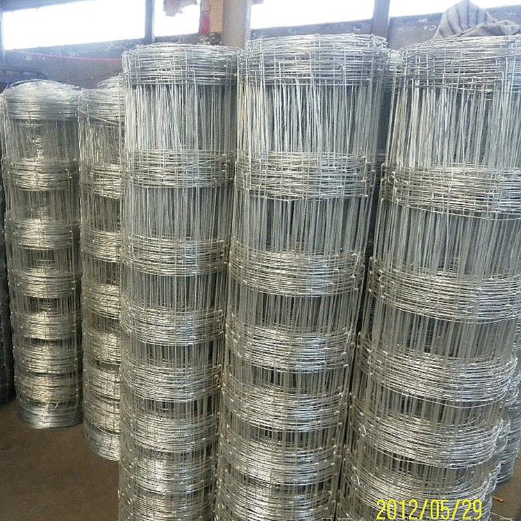 厂价直销镀锌草原养殖网，出口品质，值得信赖。