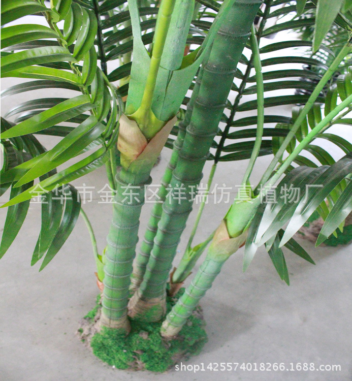 XRS-087六杆椰子叶树26叶230厘米树杆1