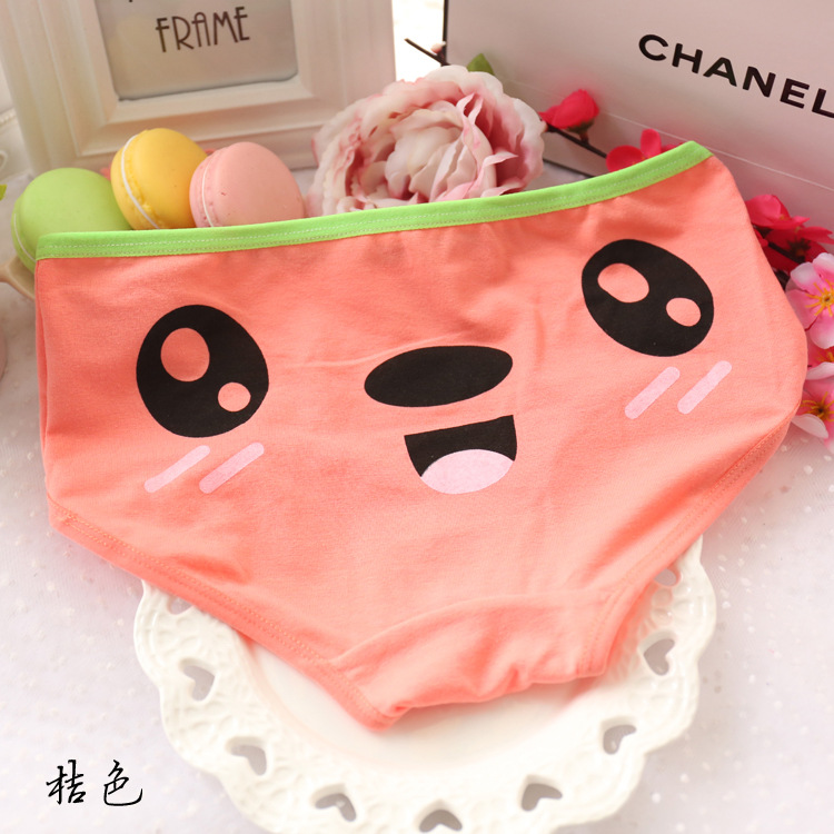 Slip jeune L106 en coton - Ref 648479 Image 23