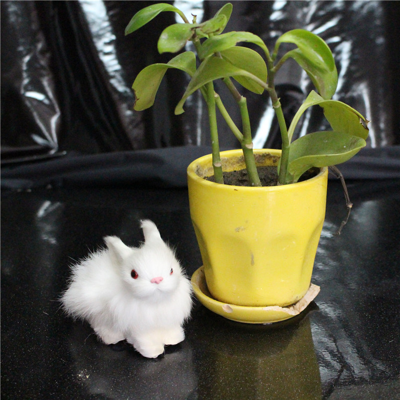 Muñeca de conejo de simulación niños novia regalo sala de estar escritorio decoración interior con marco pequeña muñeca de conejo blanco