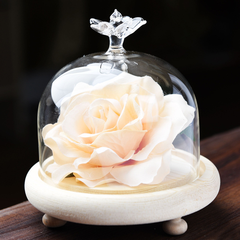DIY creativo transparente flor eterna cubierta de cristal cubierta de la torta decoración del hogar micro paisaje florero con accesorios