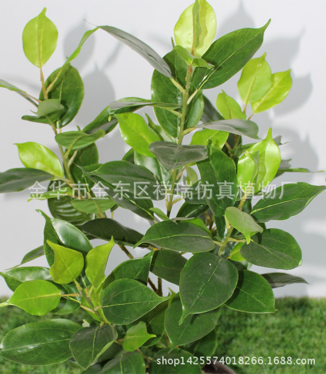 香樟叶五叉枝立体105叶子