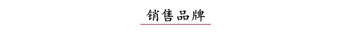 公司介紹