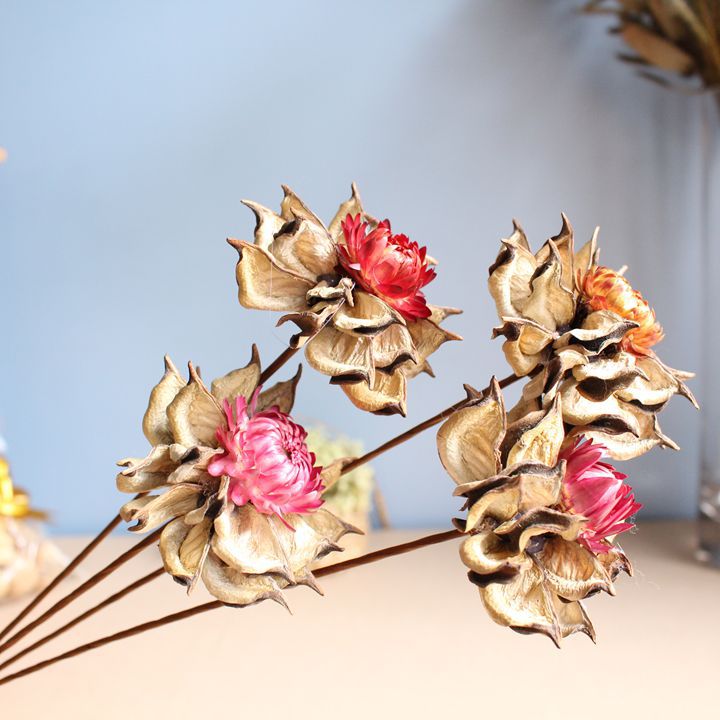 east Poppy natural Dried flowers Decorative flowers Yunnan true Combination of flowers Art flower arrangement Botany wholesale