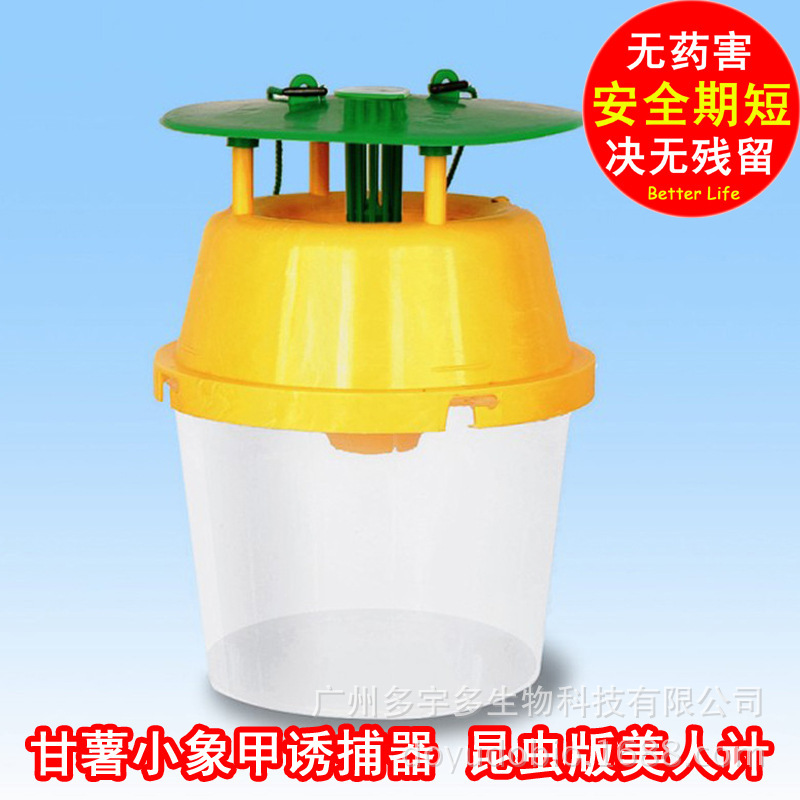 甘薯小象甲虫诱捕器 甘薯小象甲虫性诱芯 昆虫信息素 昆虫性诱剂