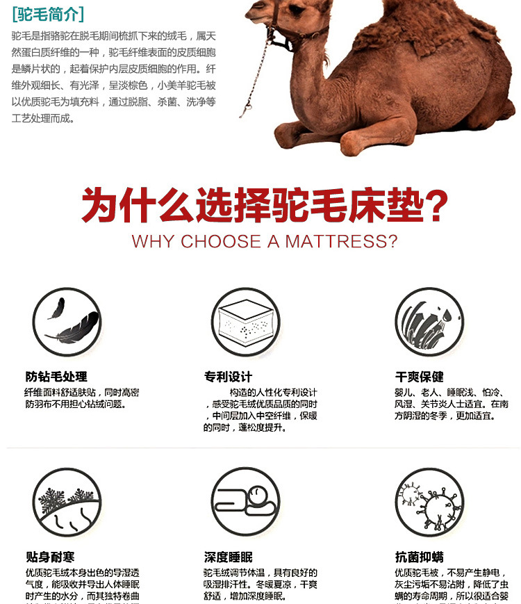 驼毛床垫_02