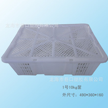 ����20��ˮ���� ����ˮ�����b����֦��÷�J��