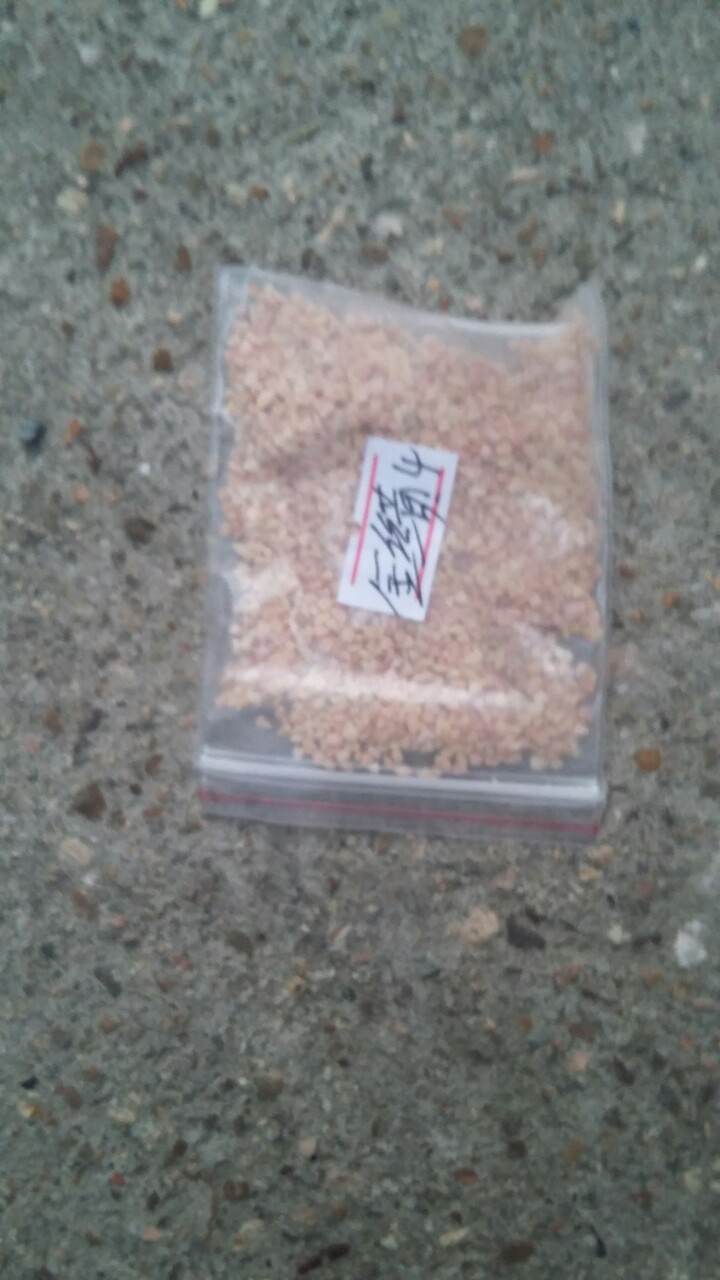 供应天然彩砂金红黄彩色石英砂真石漆专用 汉白玉石英砂3#4#5#6#|ru