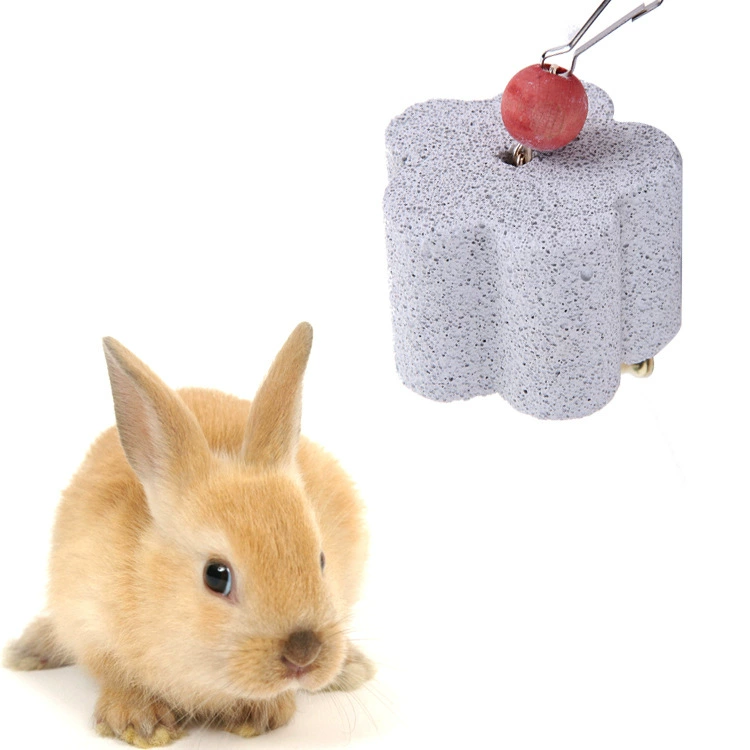 Мелкие животные молярные зубы сливовый хомяк шиншиллы кролик кролик молярный камень