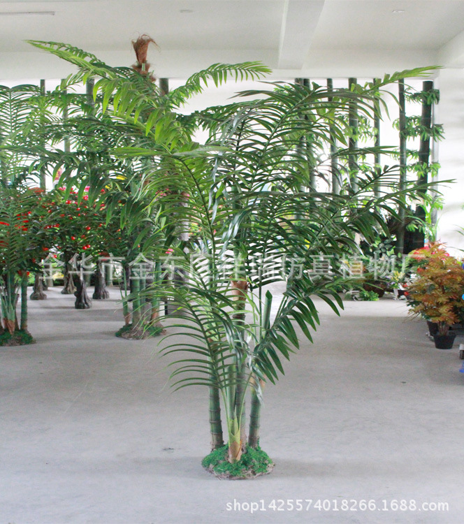 XRS-085四杆椰子叶树15叶170厘米