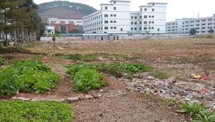 Dongguan Dongcheng Industrial Land продает 50025 государственных сертификатов для перевода земли на землю земли Донггуана на продажу