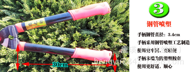 1938519161_1269862085