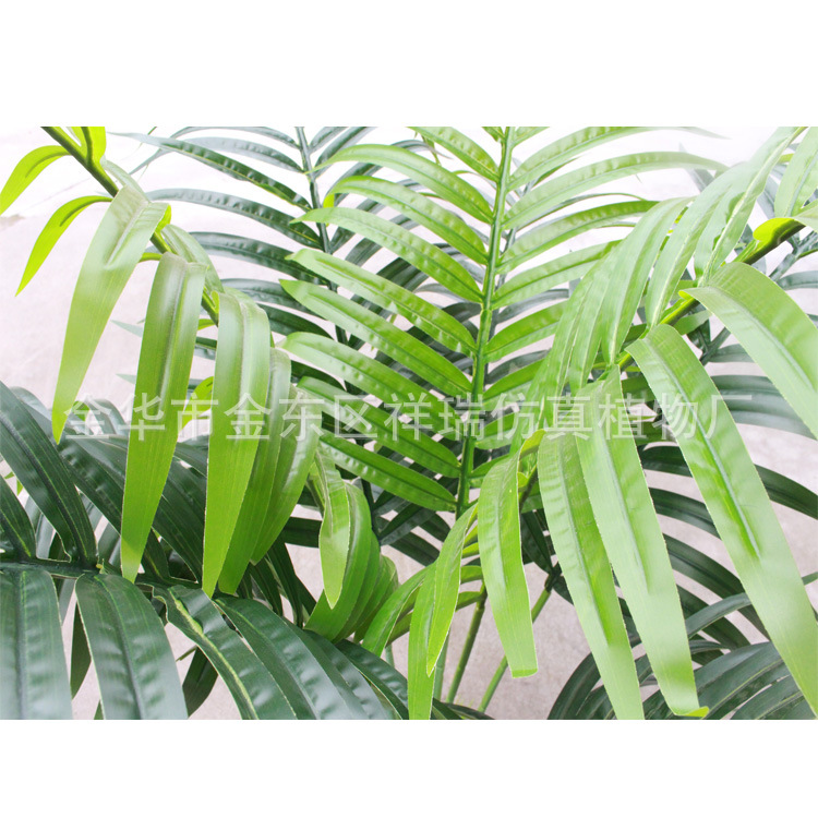 盆栽散尾葵叶橡塑布140厘米9叶近照