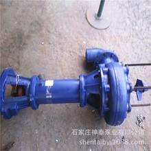 液下吸砂80NSL45-14J液下泥砂泵 长轴液下泵 带搅拌抽粪泵