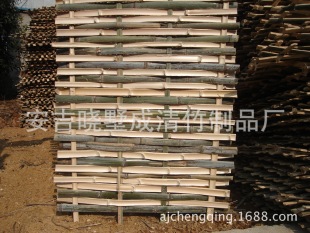 ���ڱ��� �N���á��ṩ�����Ԯa���Ƭ ����ƷƬ �_��Ƭ  ����