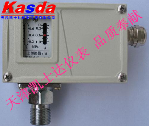 HYP系列压力控制器，稀油站、润滑油站用压力控制器