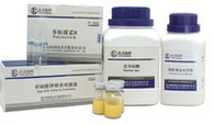 CM421 改良纖維二糖多粘菌素B多粘菌素E瓊脂基礎mCPC北京陸橋1