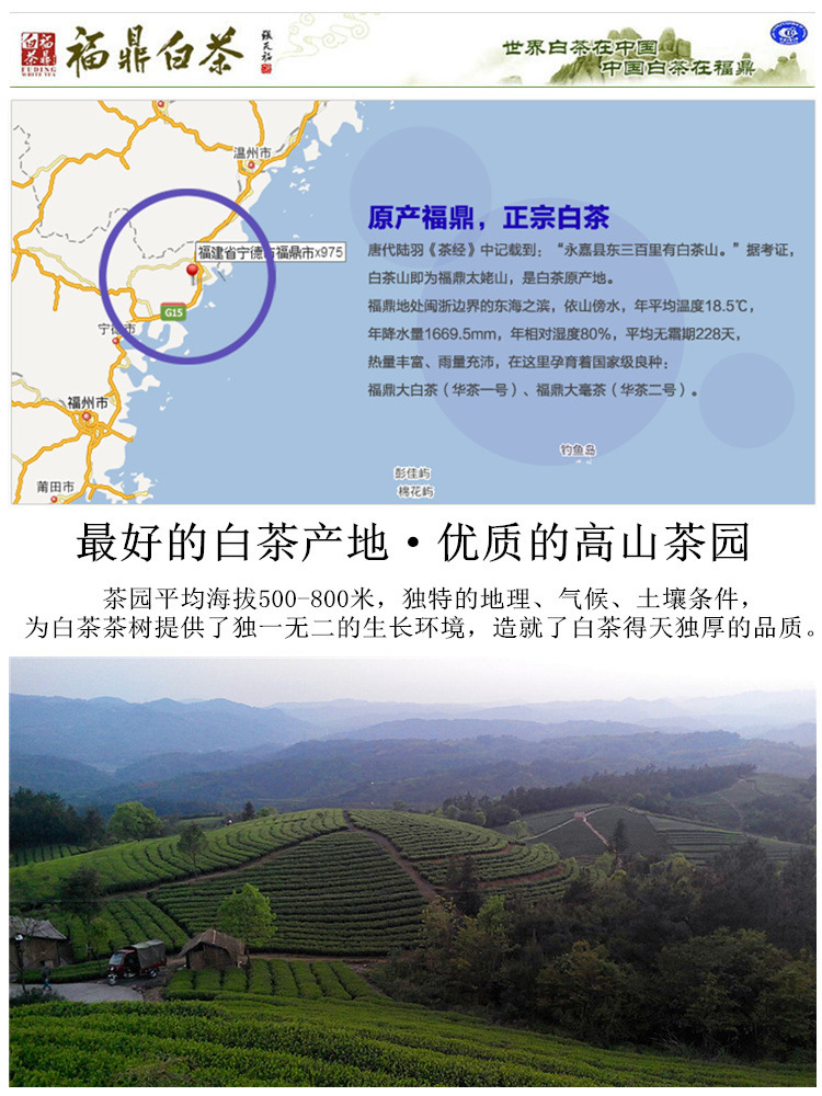 TB28xPYcpXXXXbIXXXXXXXXXXXX-19