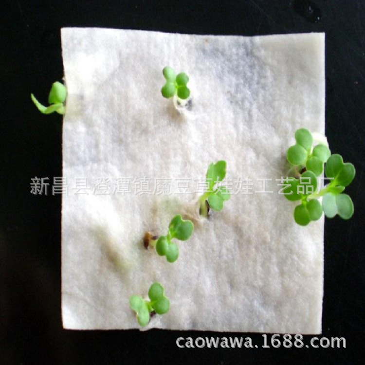 【种子纸 seed paper】创意种子纸 发芽纸、种子纸种植 贺卡礼品-阿里巴巴