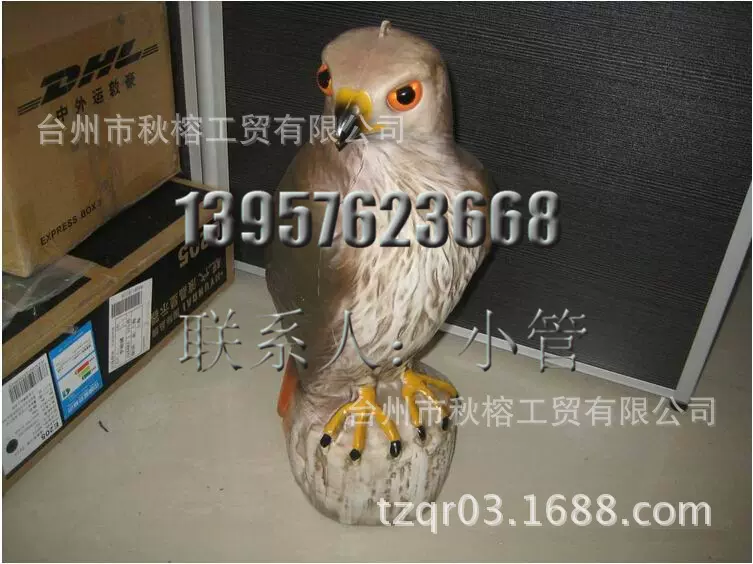 塑料仿真假老鹰 狩猎鹰 老鹰摆件 花园摆件 吓鸟鹰 打猎诱饵