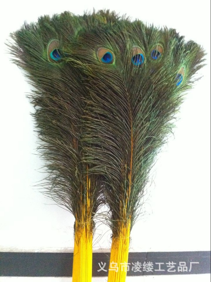 QQ图片20150510150649