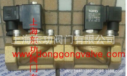 ROFES电磁阀 302308电磁阀