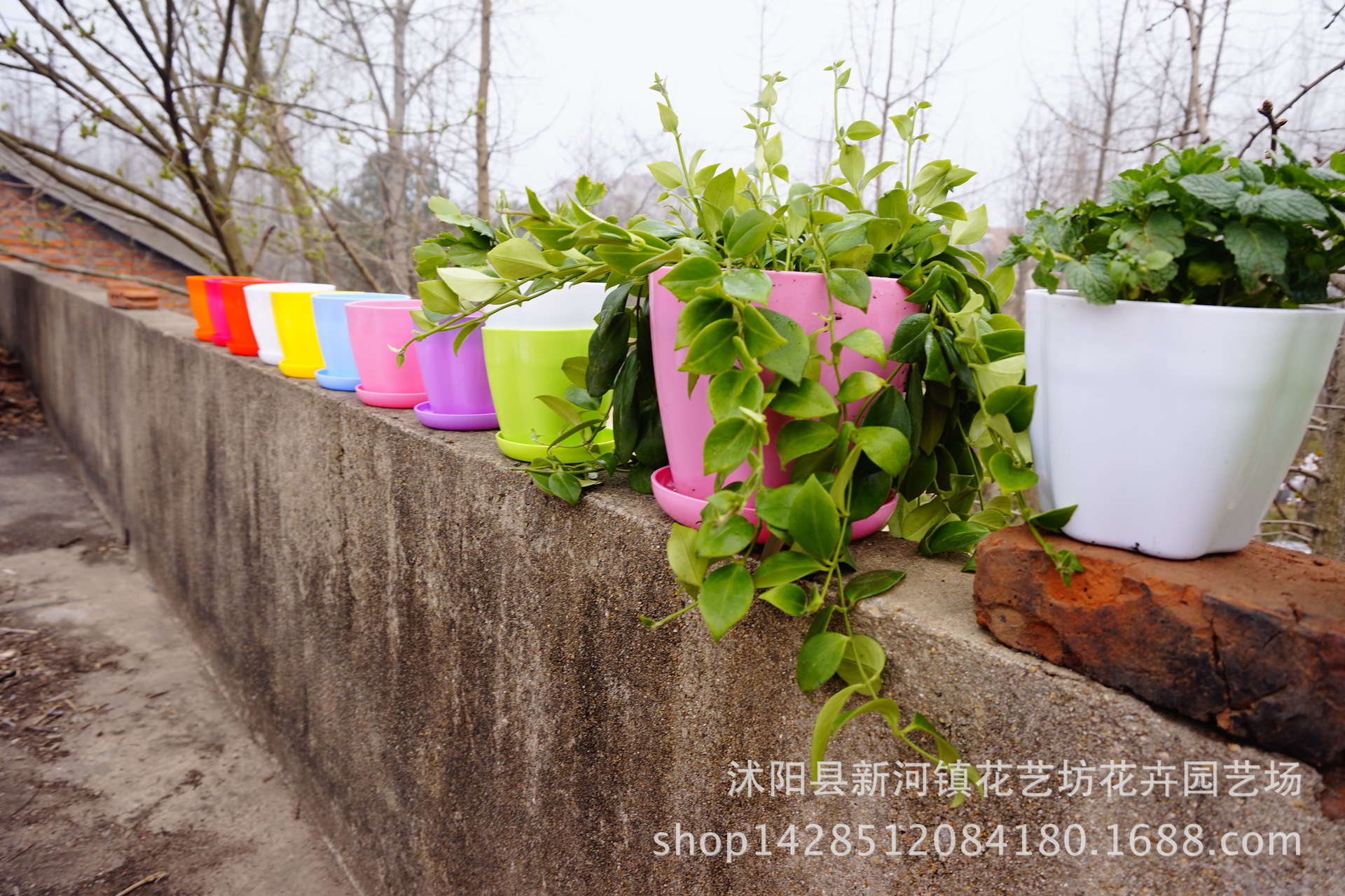 TB277nVcXXXXXXZXXXXXXXXXXXX-17