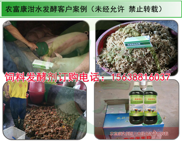 泔水发酵剂喂猪