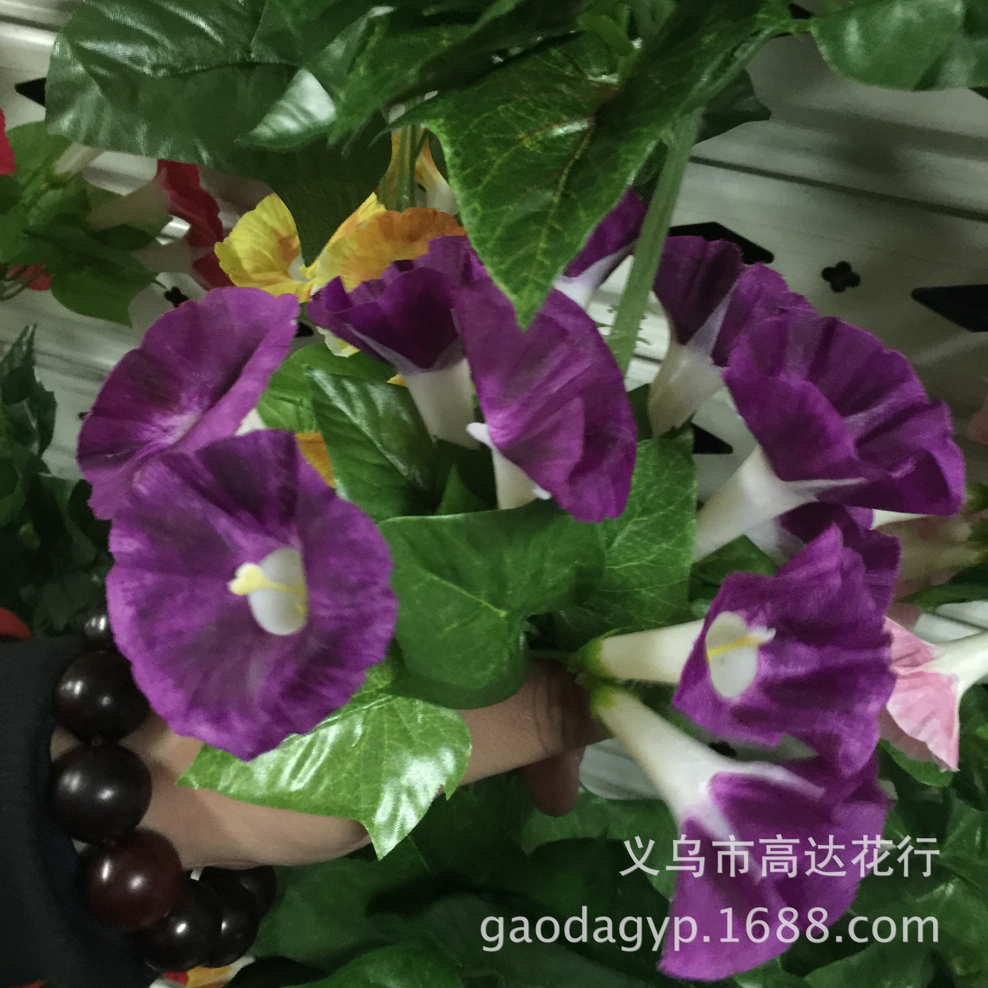 18号大牵牛花花条