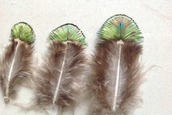 T1aKGnFvpgXXXXXXXX_!!0-item_pi