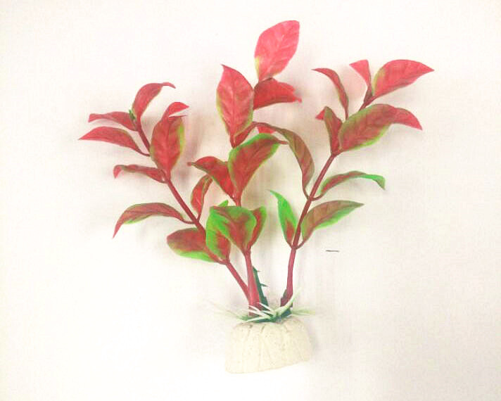 QQ图片20150722131233