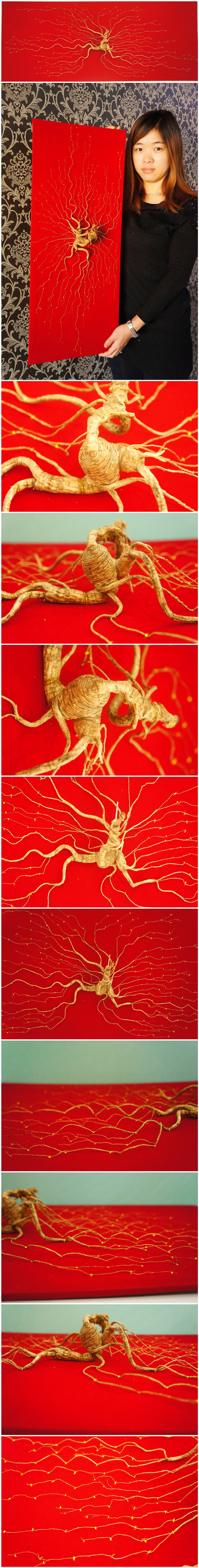 DSC08224_副本_副本