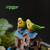 Moss micro -landscape landscaping material decorative ornaments gorgeous parrot DIY material