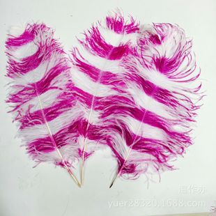 �x�����w�궨���pɫӡȾ�r�Bë/50-55CM��ɫ�M����ë/��̨�ݳ���