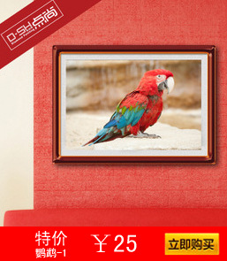 鹦鹉-1
