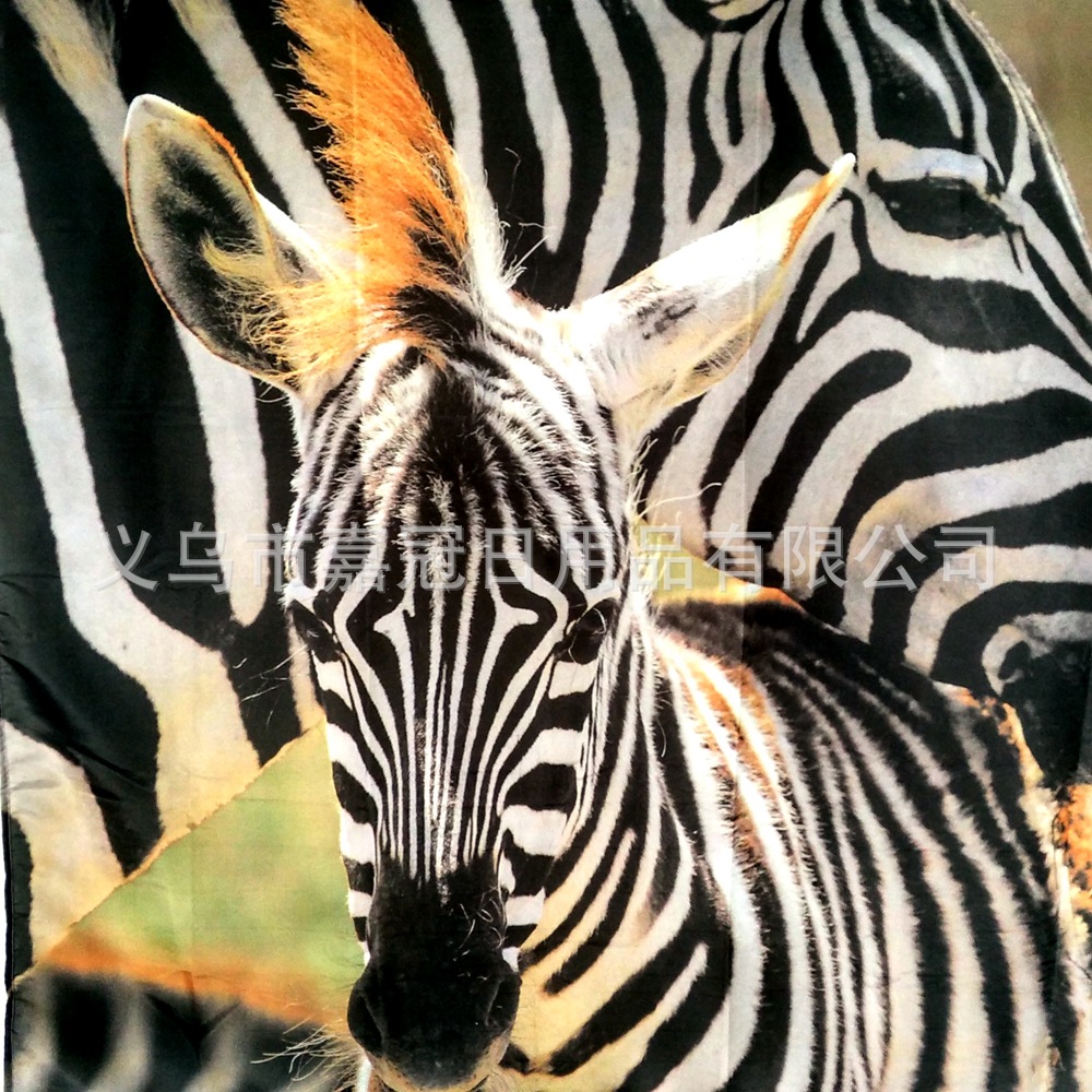 IMG_20150418_160648_HDR