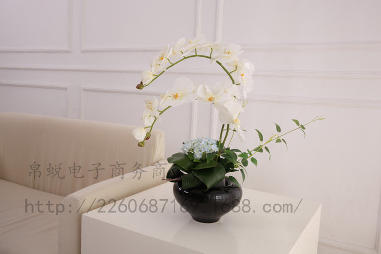 9 head handle 3 Phalaenopsis