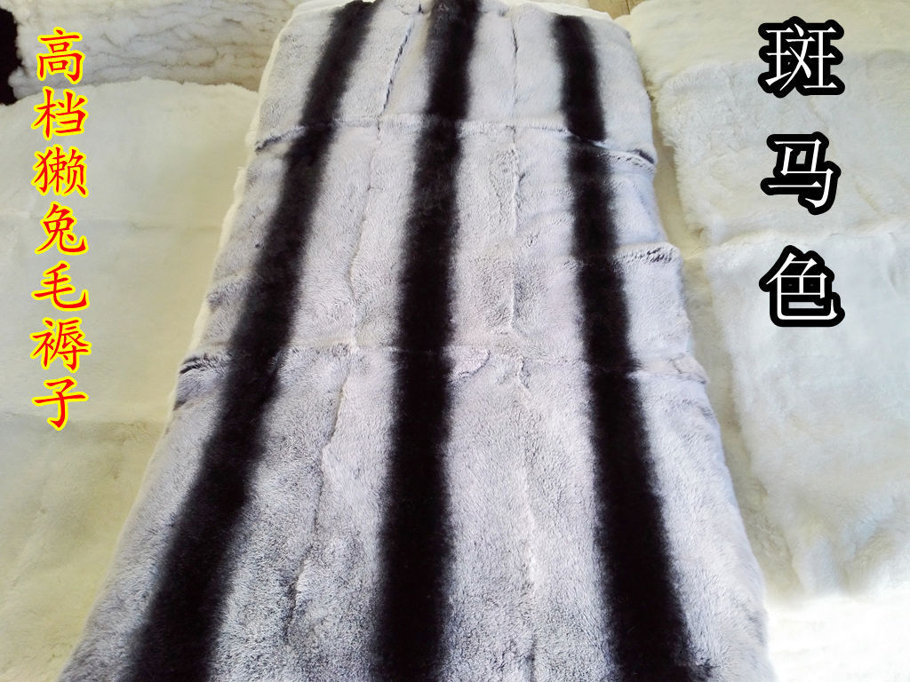 IMG_20150511_153101_副本_副本