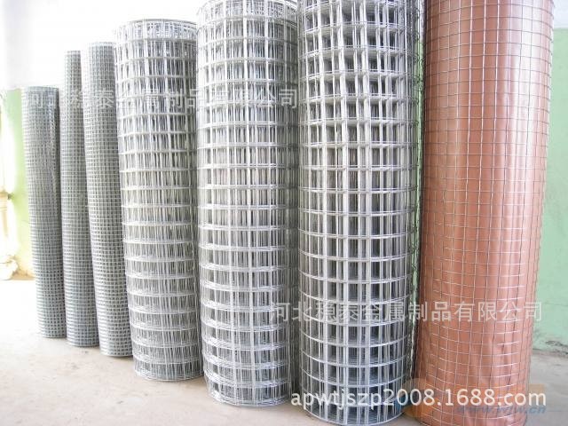 河北稳泰公司专业制造铁丝网50*25*2.5规格铁丝网防护