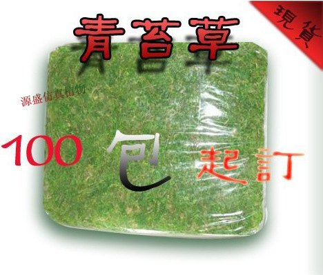 青苔草1