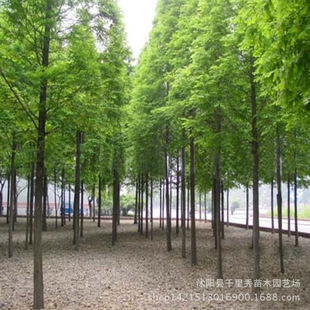 ���l����ɼ�N���������Kɼī��������ɼ��ɼ��N���е��䮔���·N