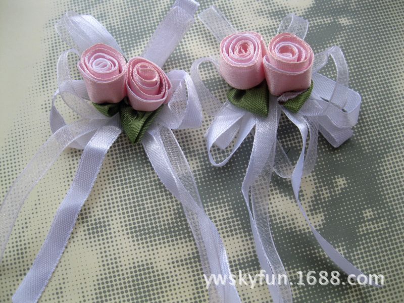 双色飘带康乃馨