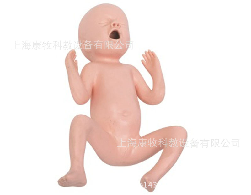 高级24周早产儿模型