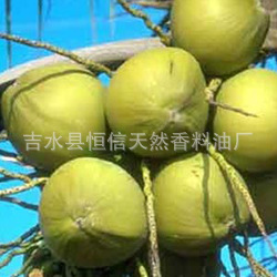 精制椰子油 CAS号为8001-31-8化妆品diy基础油植物油